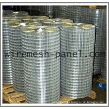 Electric Galvanized welded wire mesh roll